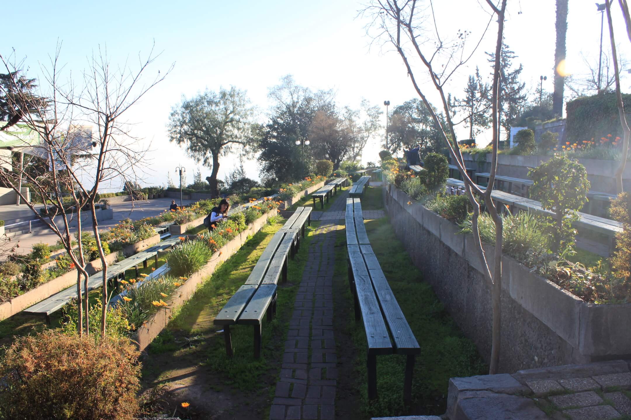 Hill Nature Pews