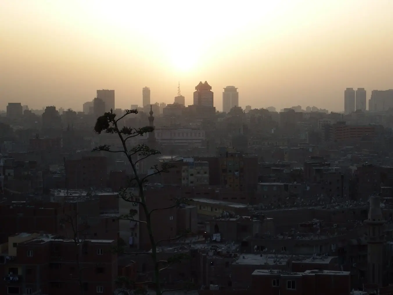 Cairo